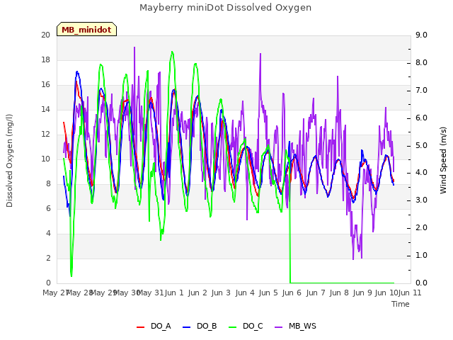 plot of Mayberry miniDot Dissolved Oxygen