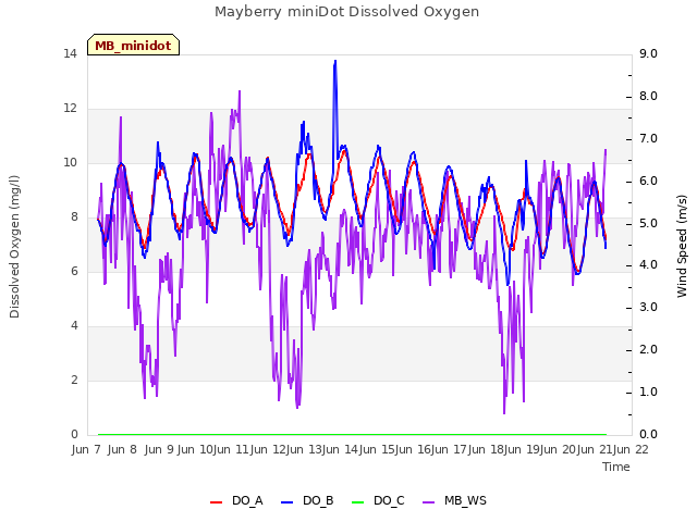 plot of Mayberry miniDot Dissolved Oxygen