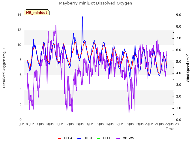 plot of Mayberry miniDot Dissolved Oxygen