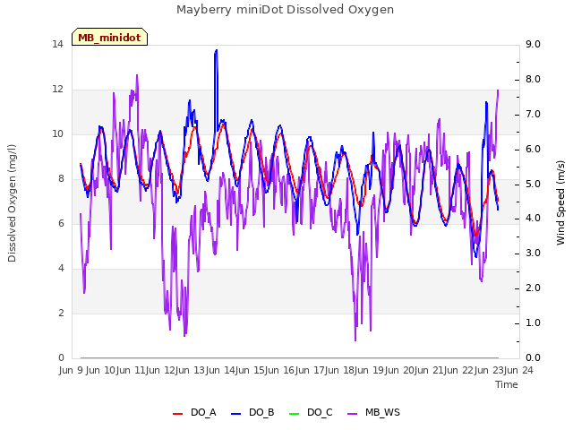 plot of Mayberry miniDot Dissolved Oxygen