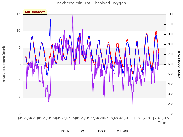 plot of Mayberry miniDot Dissolved Oxygen