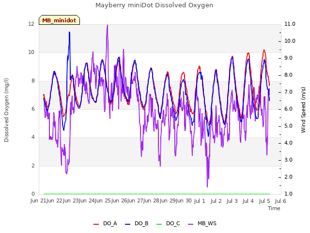 plot of Mayberry miniDot Dissolved Oxygen