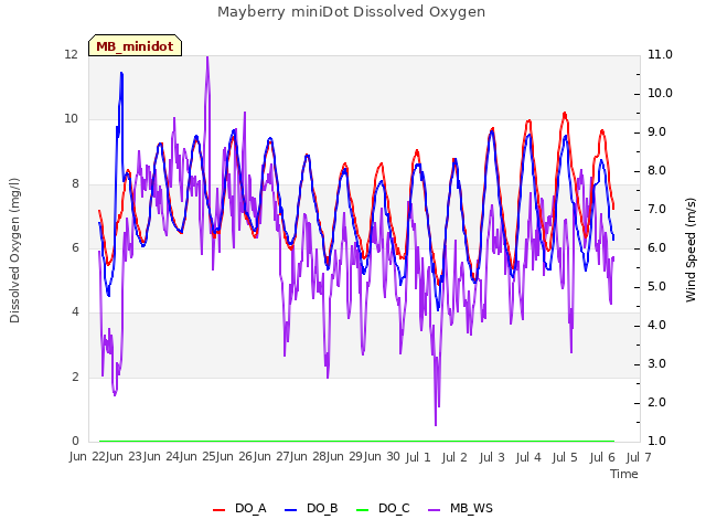 plot of Mayberry miniDot Dissolved Oxygen