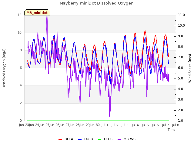 plot of Mayberry miniDot Dissolved Oxygen