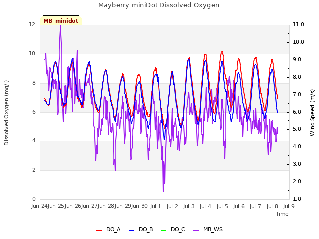 plot of Mayberry miniDot Dissolved Oxygen