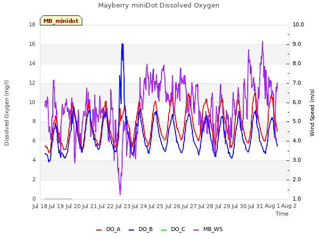 plot of Mayberry miniDot Dissolved Oxygen