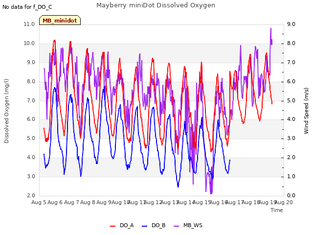 plot of Mayberry miniDot Dissolved Oxygen