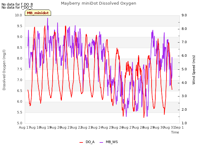 plot of Mayberry miniDot Dissolved Oxygen