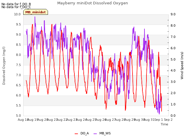 plot of Mayberry miniDot Dissolved Oxygen