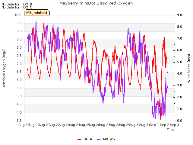 plot of Mayberry miniDot Dissolved Oxygen