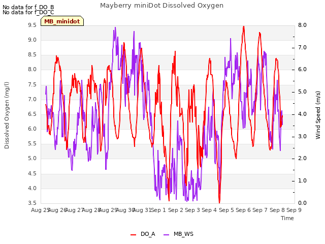 plot of Mayberry miniDot Dissolved Oxygen