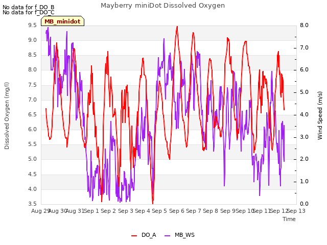 plot of Mayberry miniDot Dissolved Oxygen