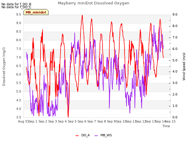 plot of Mayberry miniDot Dissolved Oxygen