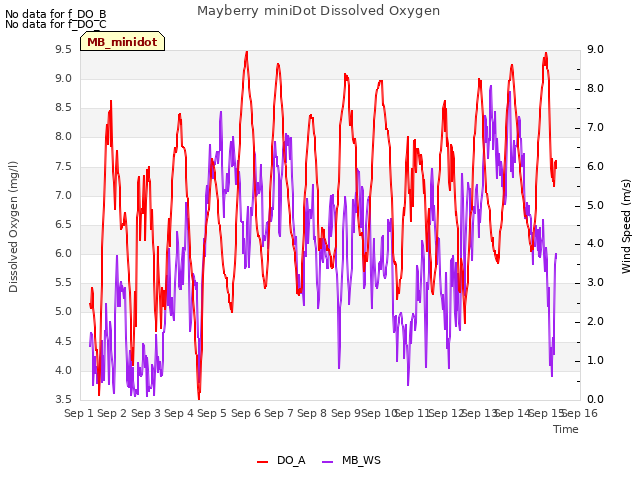 plot of Mayberry miniDot Dissolved Oxygen