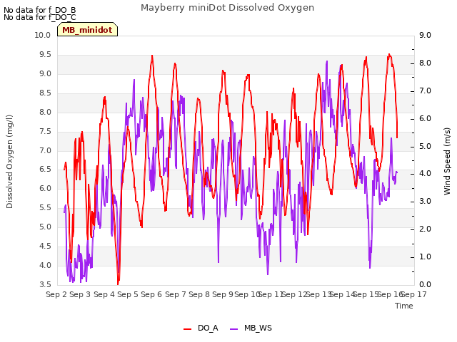 plot of Mayberry miniDot Dissolved Oxygen