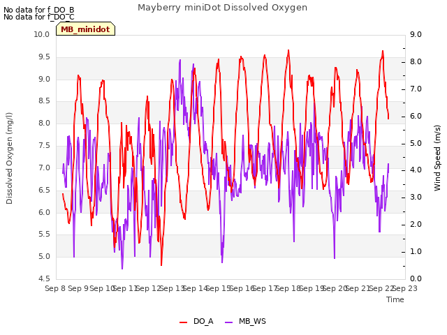 plot of Mayberry miniDot Dissolved Oxygen
