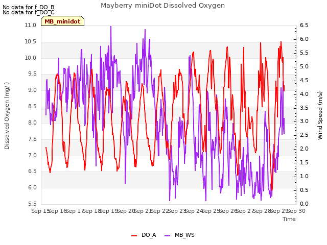 plot of Mayberry miniDot Dissolved Oxygen