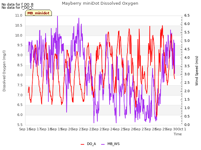 plot of Mayberry miniDot Dissolved Oxygen