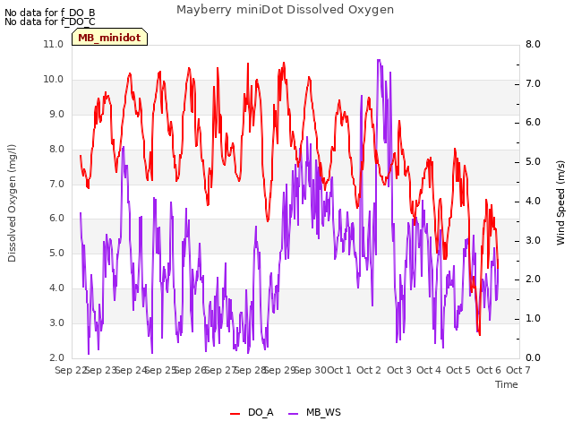 plot of Mayberry miniDot Dissolved Oxygen