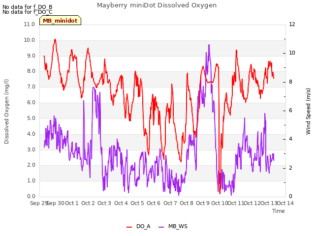 plot of Mayberry miniDot Dissolved Oxygen