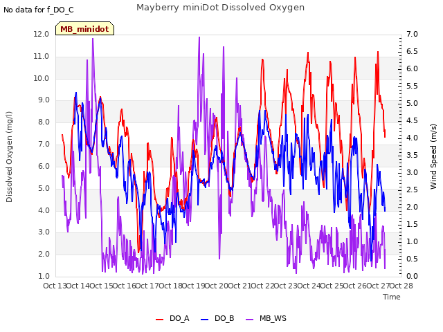 plot of Mayberry miniDot Dissolved Oxygen