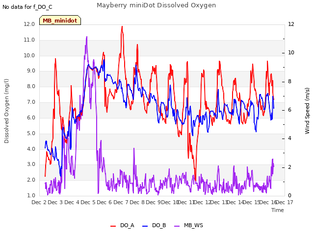 plot of Mayberry miniDot Dissolved Oxygen