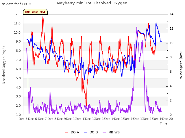 plot of Mayberry miniDot Dissolved Oxygen