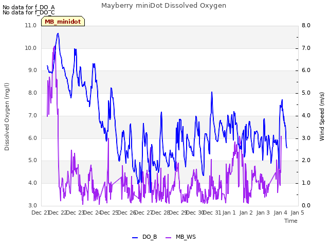 plot of Mayberry miniDot Dissolved Oxygen