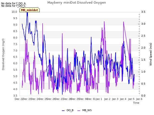 plot of Mayberry miniDot Dissolved Oxygen