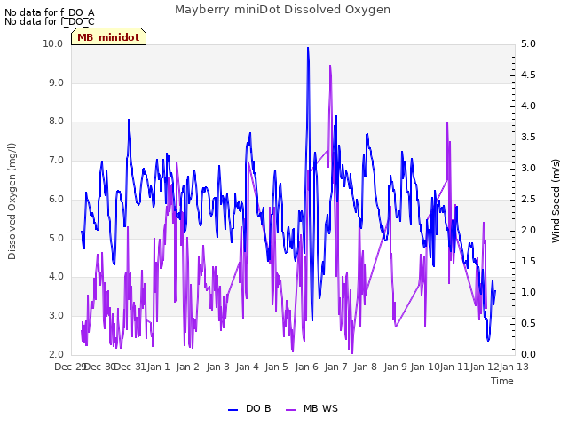 plot of Mayberry miniDot Dissolved Oxygen