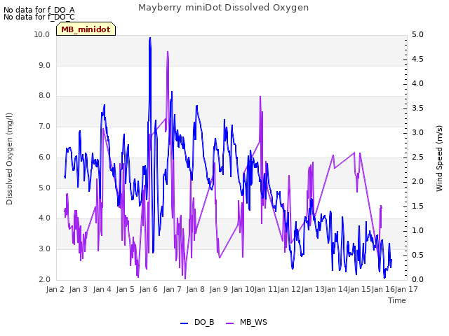 plot of Mayberry miniDot Dissolved Oxygen