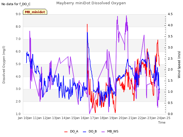 plot of Mayberry miniDot Dissolved Oxygen