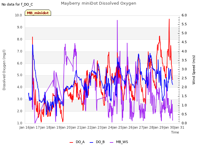 plot of Mayberry miniDot Dissolved Oxygen