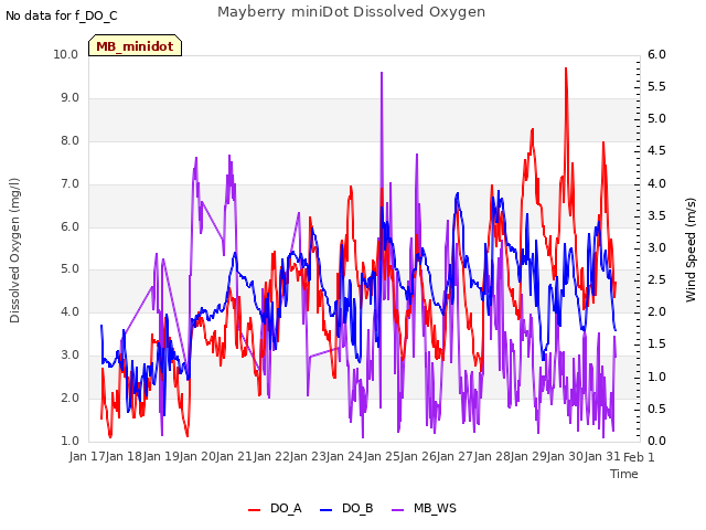 plot of Mayberry miniDot Dissolved Oxygen