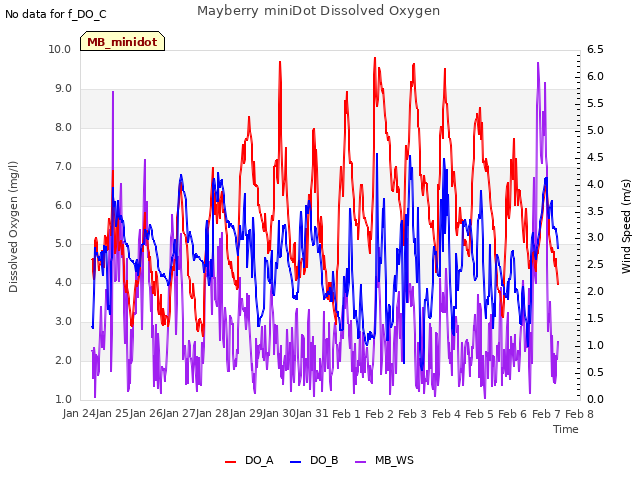 plot of Mayberry miniDot Dissolved Oxygen