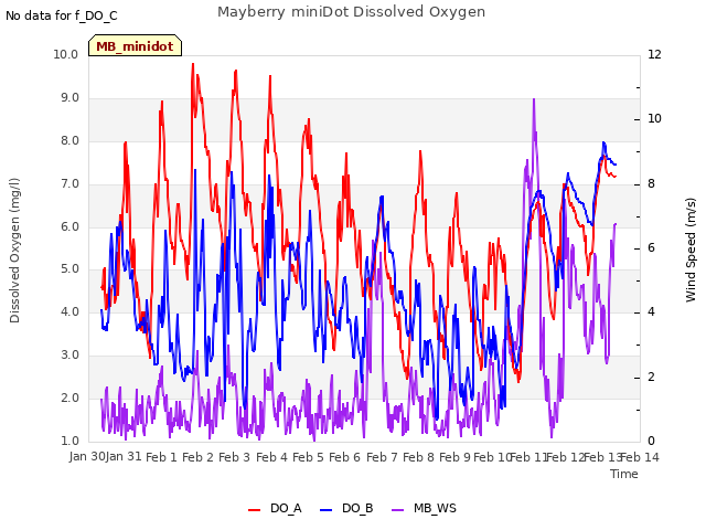 plot of Mayberry miniDot Dissolved Oxygen