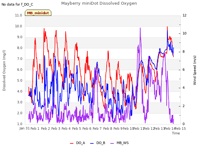 plot of Mayberry miniDot Dissolved Oxygen