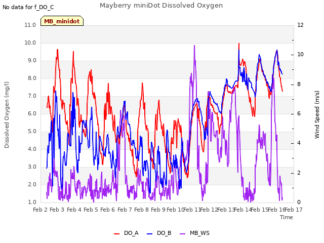 plot of Mayberry miniDot Dissolved Oxygen