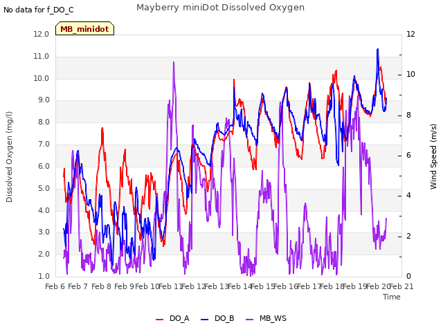 plot of Mayberry miniDot Dissolved Oxygen