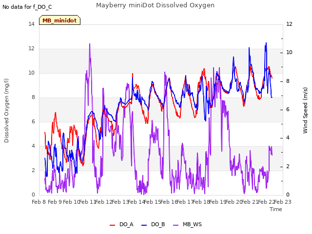 plot of Mayberry miniDot Dissolved Oxygen