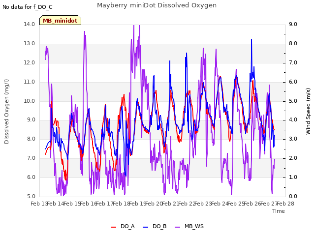 plot of Mayberry miniDot Dissolved Oxygen