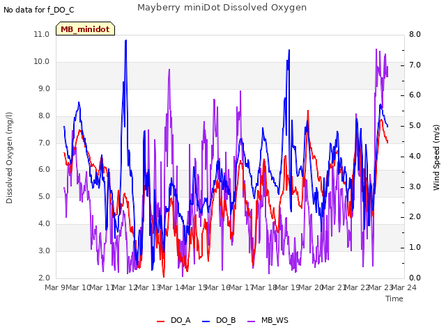 plot of Mayberry miniDot Dissolved Oxygen