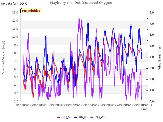 plot of Mayberry miniDot Dissolved Oxygen