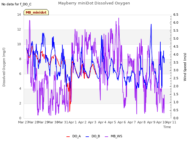 plot of Mayberry miniDot Dissolved Oxygen