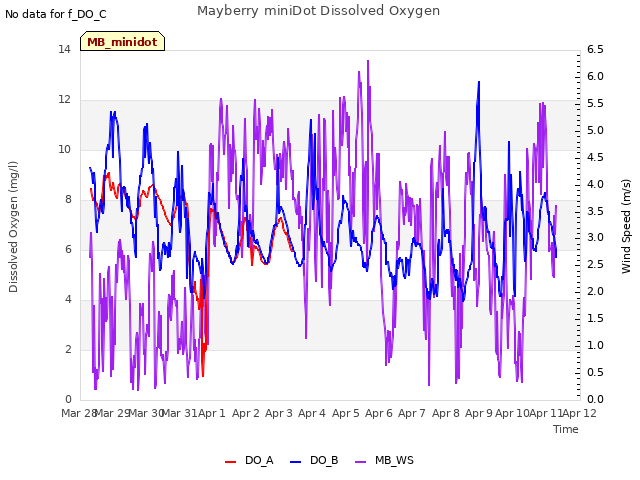 plot of Mayberry miniDot Dissolved Oxygen