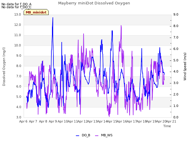 plot of Mayberry miniDot Dissolved Oxygen