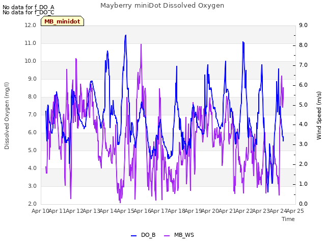 plot of Mayberry miniDot Dissolved Oxygen