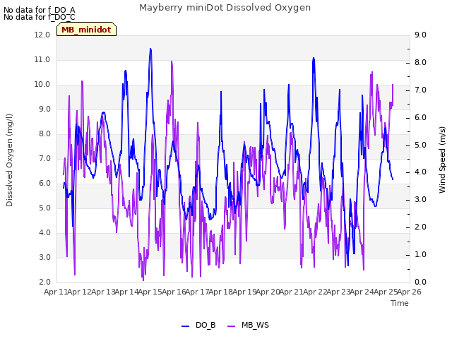 plot of Mayberry miniDot Dissolved Oxygen