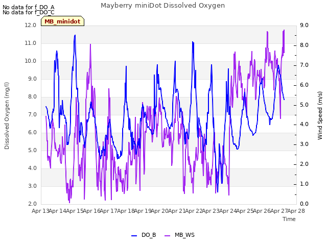 plot of Mayberry miniDot Dissolved Oxygen