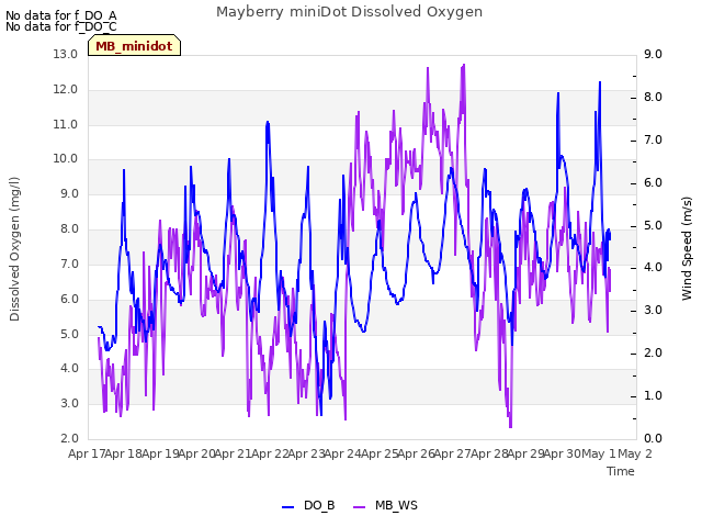 plot of Mayberry miniDot Dissolved Oxygen